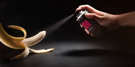 Blowjob without Condom Erotic massage Paraparaumu